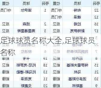 足球球员名称大全,足球球员名称