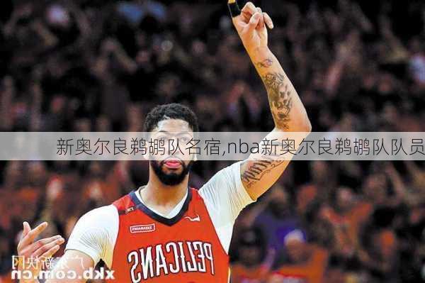 新奥尔良鹈鹕队名宿,nba新奥尔良鹈鹕队队员