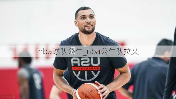 nba球队公牛_nba公牛队拉文