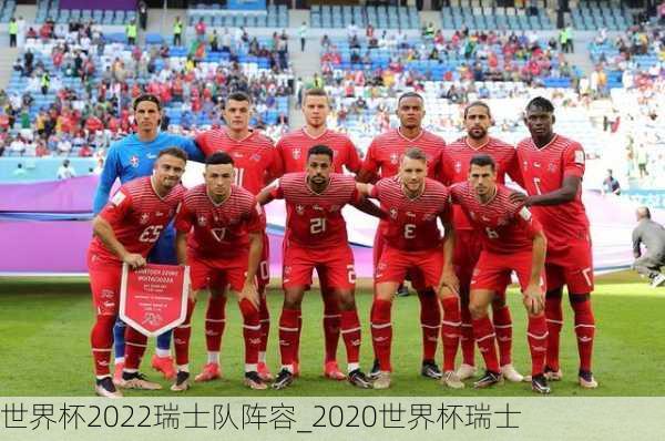 世界杯2022瑞士队阵容_2020世界杯瑞士