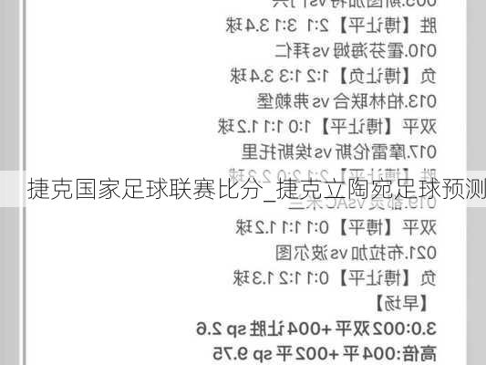 捷克国家足球联赛比分_捷克立陶宛足球预测