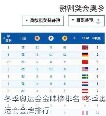 冬季奥运会金牌榜排名_冬季奥运会金牌排行