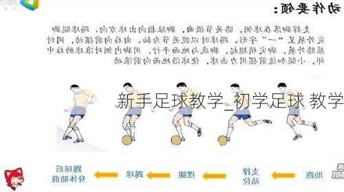 新手足球教学_初学足球 教学