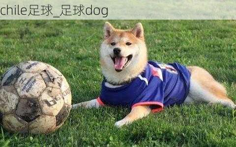 chile足球_足球dog