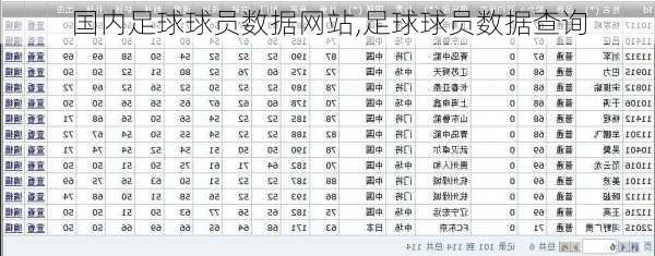 国内足球球员数据网站,足球球员数据查询