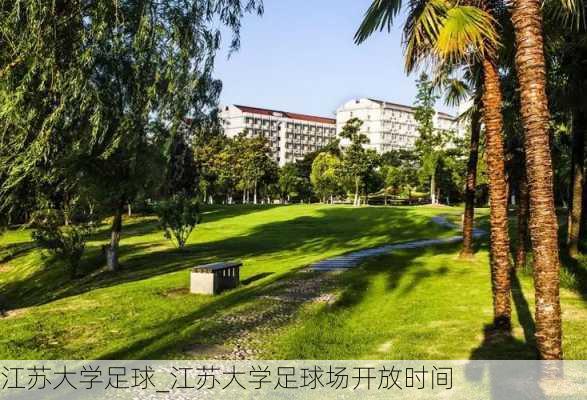 江苏大学足球_江苏大学足球场开放时间