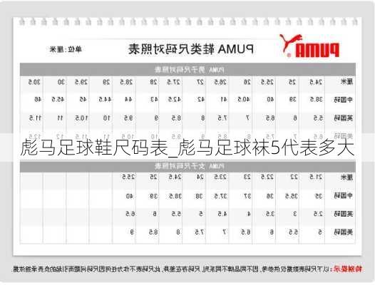 彪马足球鞋尺码表_彪马足球袜5代表多大