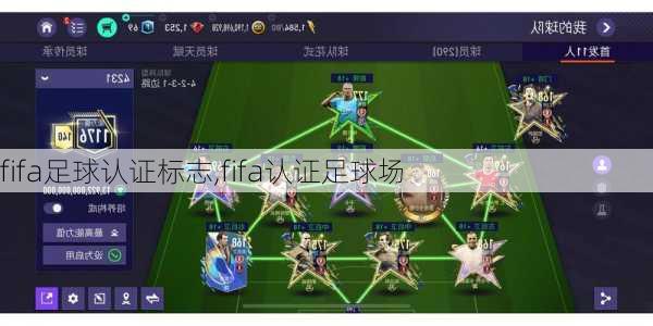 fifa足球认证标志,fifa认证足球场