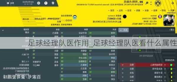 足球经理队医作用_足球经理队医看什么属性