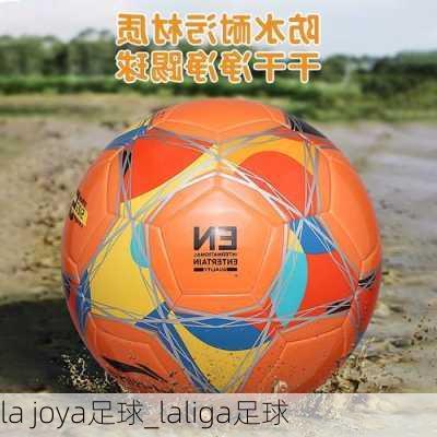 la joya足球_laliga足球