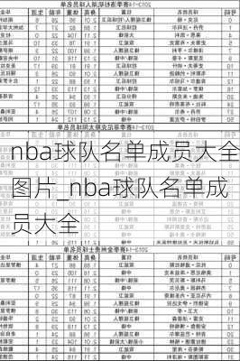 nba球队名单成员大全图片_nba球队名单成员大全