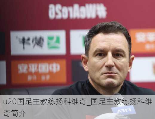 u20国足主教练扬科维奇_国足主教练扬科维奇简介