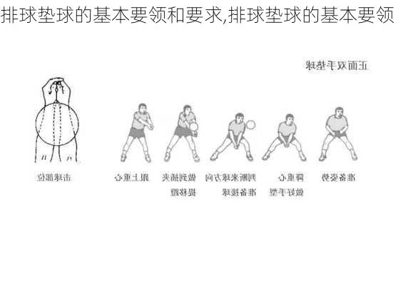 排球垫球的基本要领和要求,排球垫球的基本要领