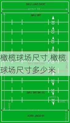 橄榄球场尺寸,橄榄球场尺寸多少米