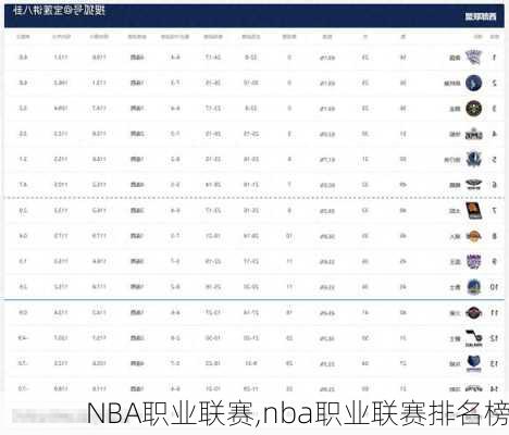 NBA职业联赛,nba职业联赛排名榜