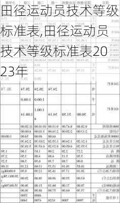 田径运动员技术等级标准表,田径运动员技术等级标准表2023年