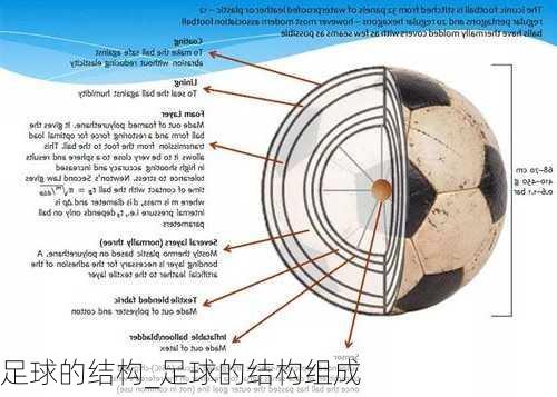 足球的结构_足球的结构组成