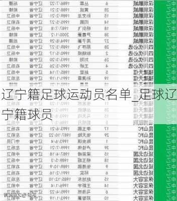 辽宁籍足球运动员名单_足球辽宁籍球员