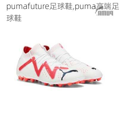 pumafuture足球鞋,puma高端足球鞋