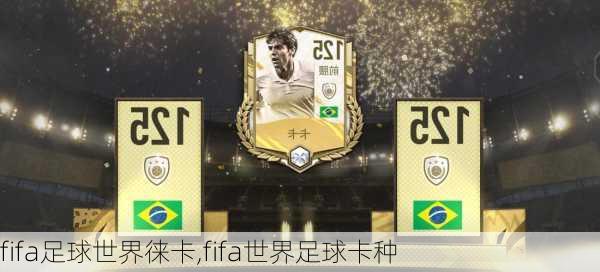 fifa足球世界徕卡,fifa世界足球卡种