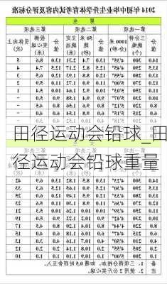 田径运动会铅球_田径运动会铅球重量