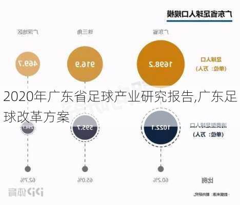 2020年广东省足球产业研究报告,广东足球改革方案