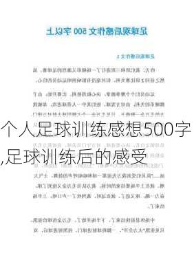 个人足球训练感想500字,足球训练后的感受