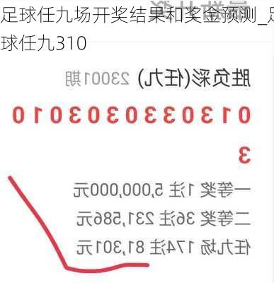 足球任九场开奖结果和奖金预测_足球任九310