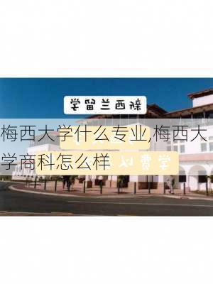 梅西大学什么专业,梅西大学商科怎么样