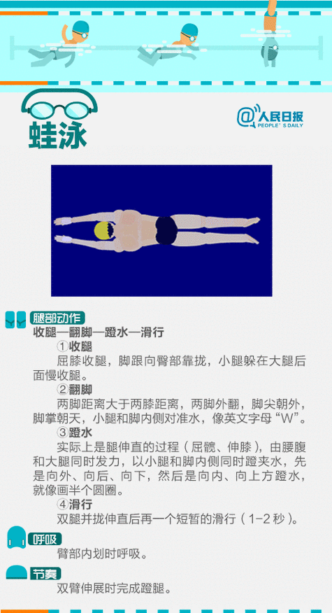 初学游泳的基本动作 教学视频_初学游泳的基本动作