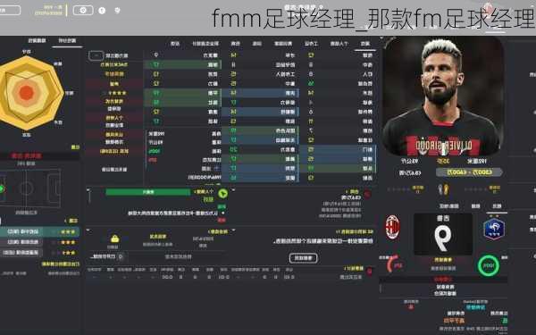 fmm足球经理_那款fm足球经理