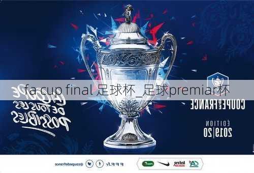 fa cup final 足球杯_足球premiar杯