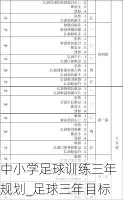 中小学足球训练三年规划_足球三年目标