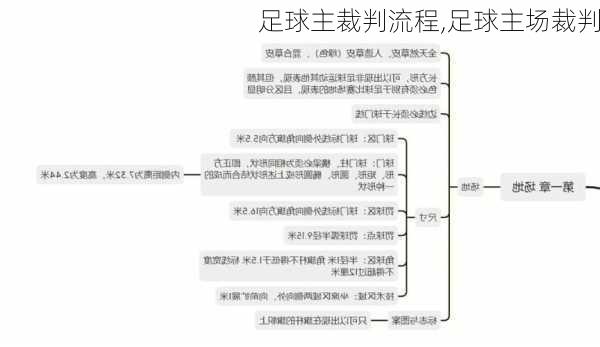 足球主裁判流程,足球主场裁判