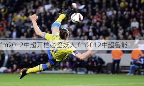 fm2012中超开档必签妖人,fm2012中超鲁能