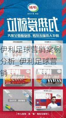 伊利足球营销案例分析_伊利足球营销