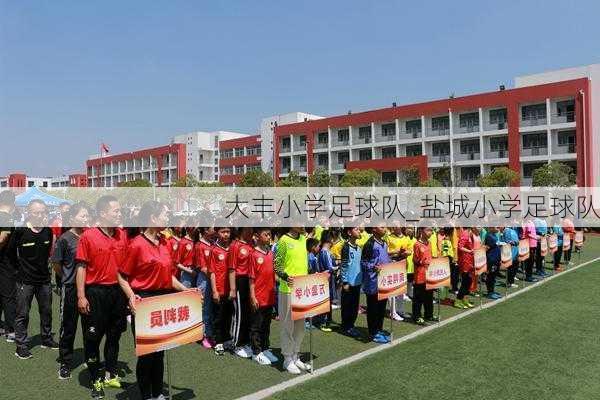 大丰小学足球队_盐城小学足球队