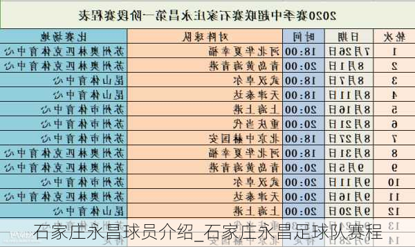 石家庄永昌球员介绍_石家庄永昌足球队赛程