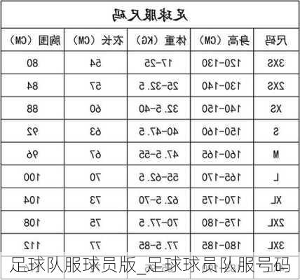 足球队服球员版_足球球员队服号码