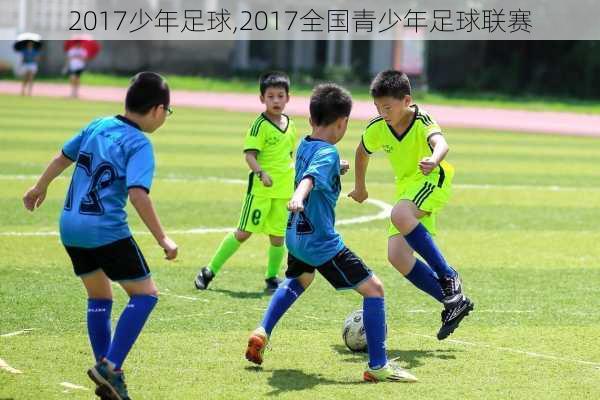 2017少年足球,2017全国青少年足球联赛