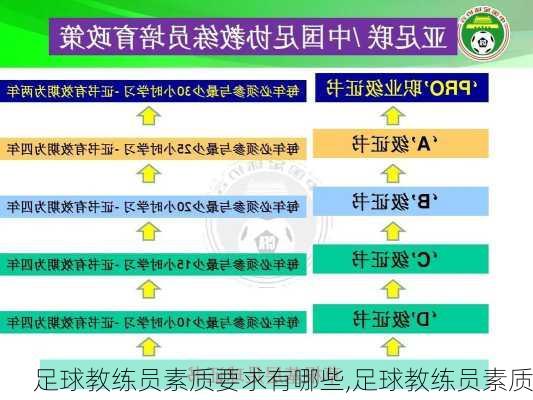 足球教练员素质要求有哪些,足球教练员素质