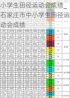 小学生田径运动会成绩_石家庄市中小学生田径运动会成绩