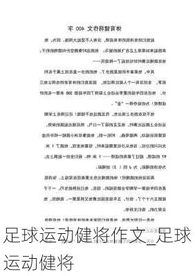 足球运动健将作文_足球运动健将