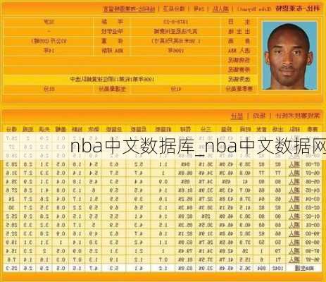 nba中文数据库_nba中文数据网