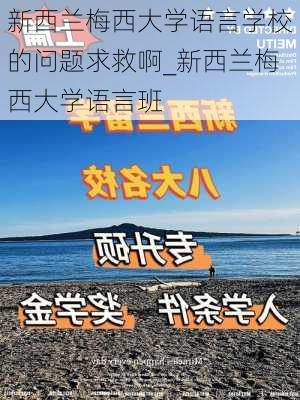 新西兰梅西大学语言学校的问题求救啊_新西兰梅西大学语言班