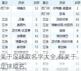 关于足球取名字大全,有关于足球取名