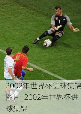 2002年世界杯进球集锦图片_2002年世界杯进球集锦