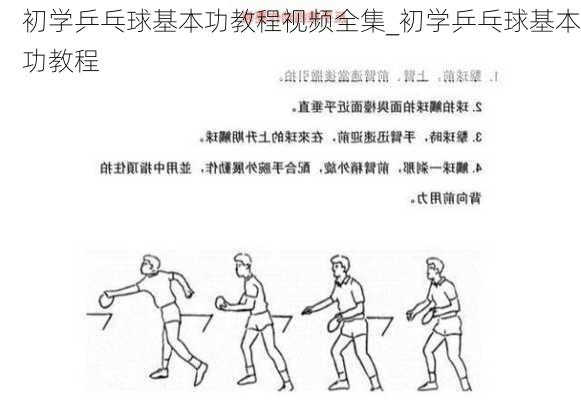 初学乒乓球基本功教程视频全集_初学乒乓球基本功教程