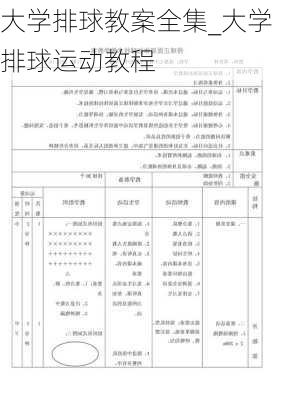 大学排球教案全集_大学排球运动教程