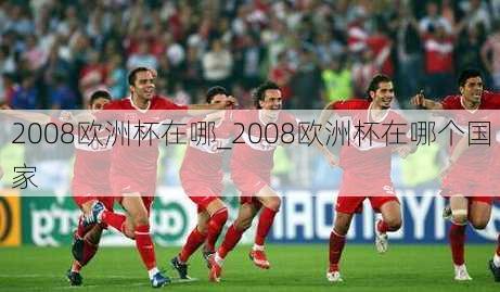 2008欧洲杯在哪_2008欧洲杯在哪个国家